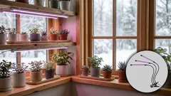 Groeilamp kiezen voor binnen: spectrum, afstand en lichturen uitgelegd